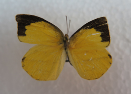 电子游戏app下载安装