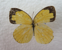 电子游戏app下载安装