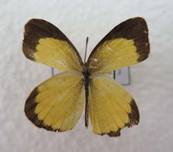 电子游戏app下载安装