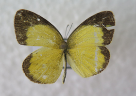 电子游戏app下载安装