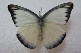 电子游戏app下载安装