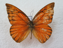 电子游戏app下载安装