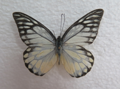 电子游戏app下载安装