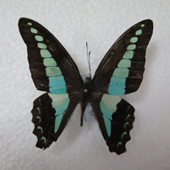 电子游戏app下载安装