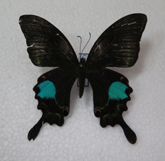 电子游戏app下载安装