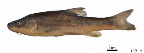 电子游戏app下载安装