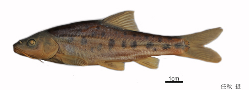 电子游戏app下载安装