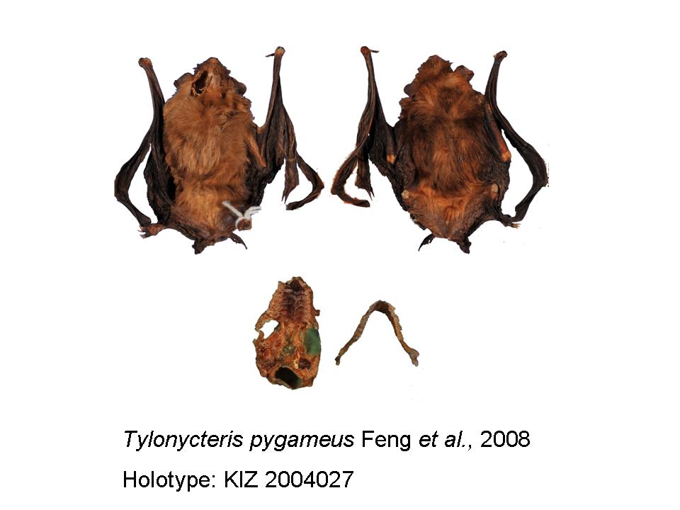 电子游戏app下载安装