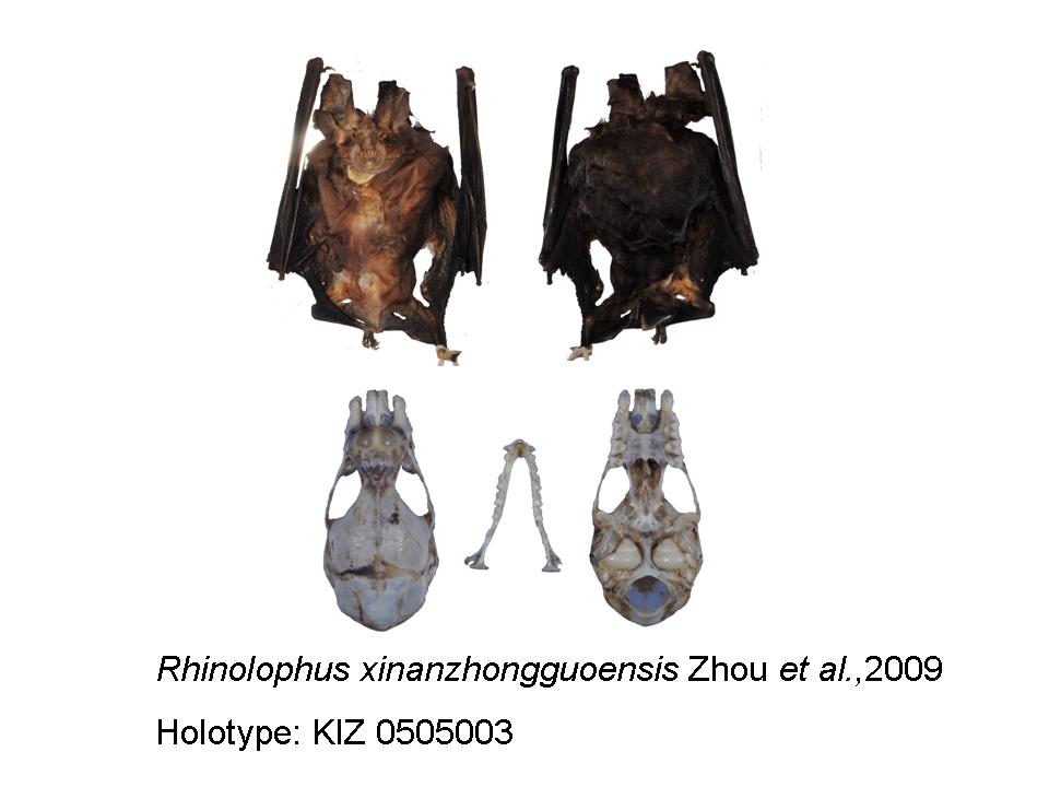 电子游戏app下载安装