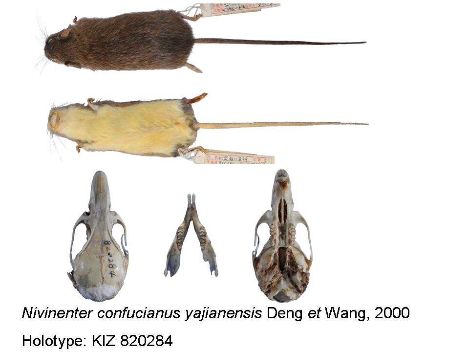 电子游戏app下载安装