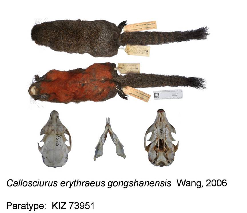 电子游戏app下载安装