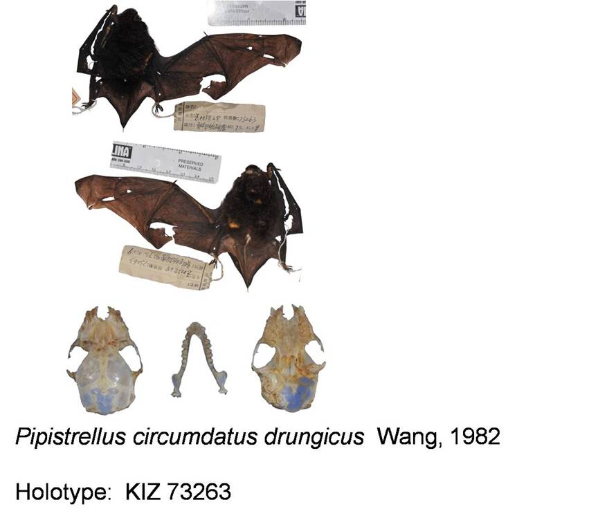 电子游戏app下载安装