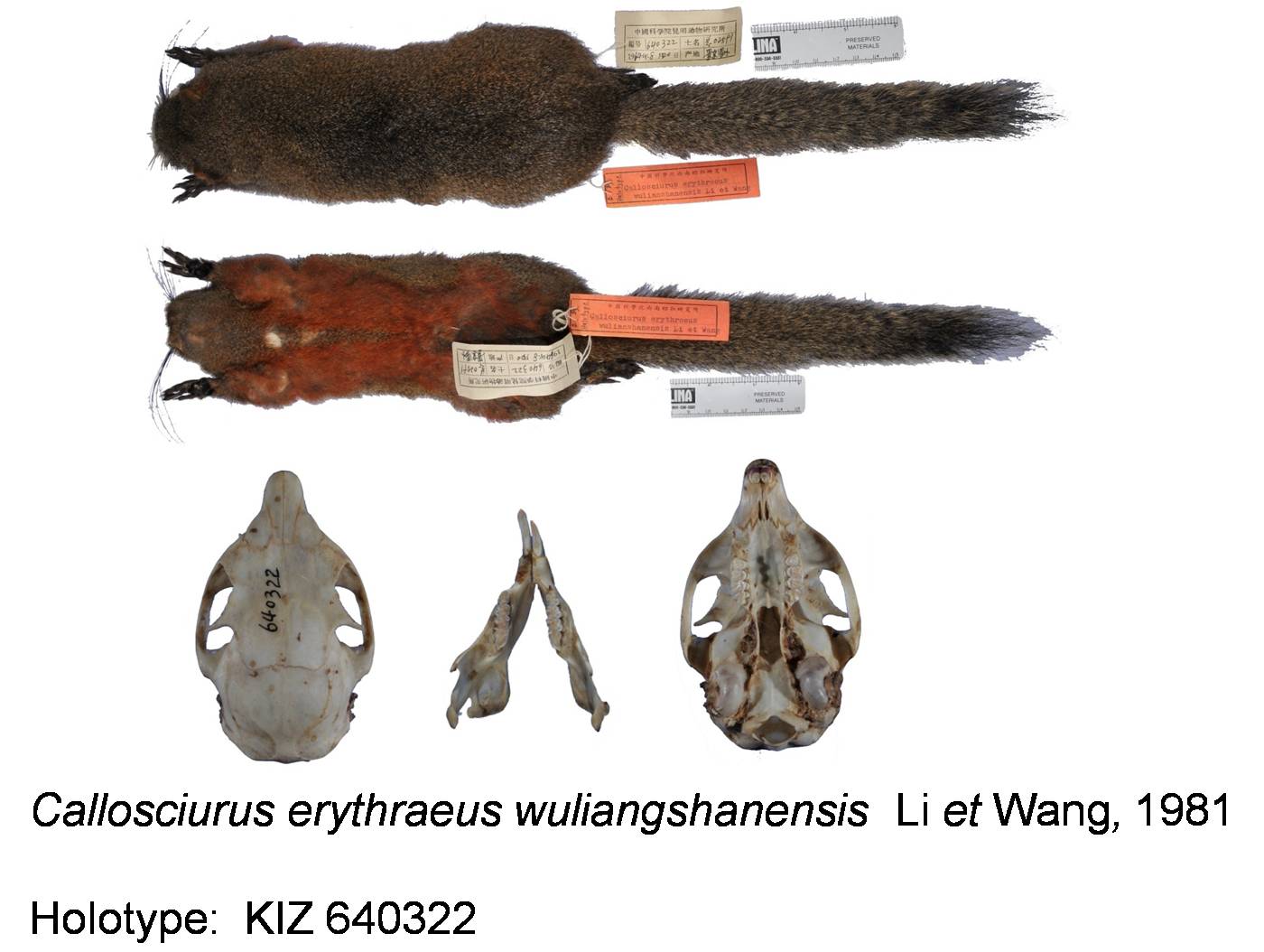 电子游戏app下载安装
