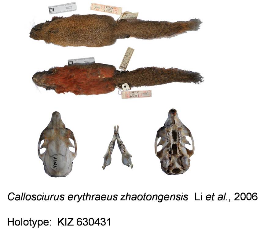 电子游戏app下载安装