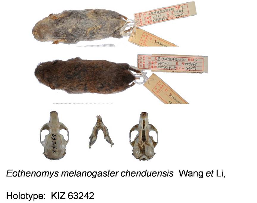 电子游戏app下载安装