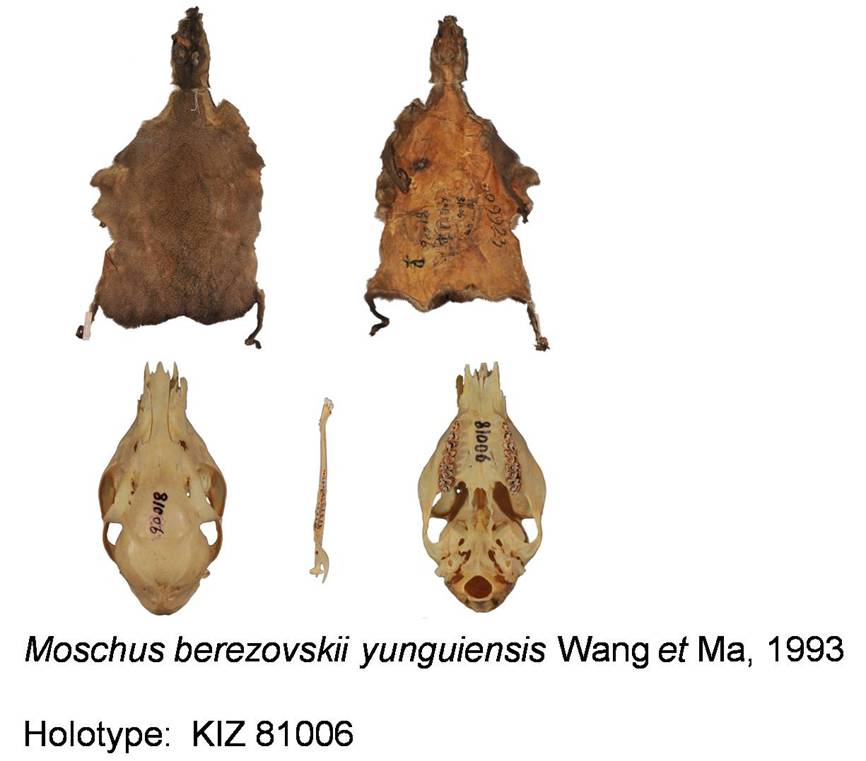 电子游戏app下载安装