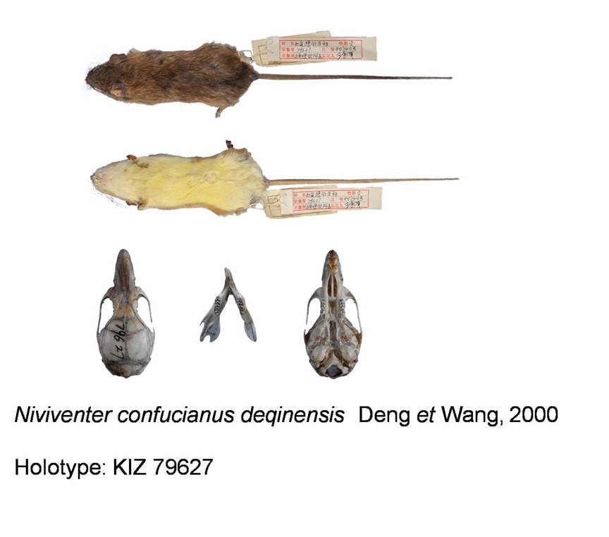 电子游戏app下载安装