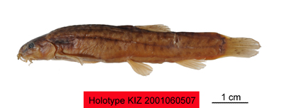 电子游戏app下载安装