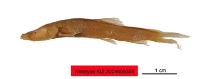 电子游戏app下载安装