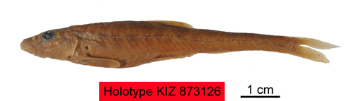 电子游戏app下载安装