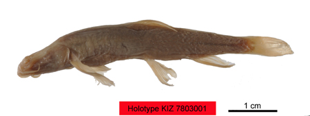 电子游戏app下载安装