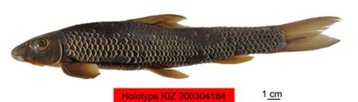 电子游戏app下载安装