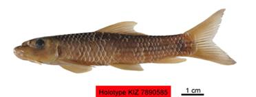 电子游戏app下载安装