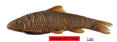 电子游戏app下载安装