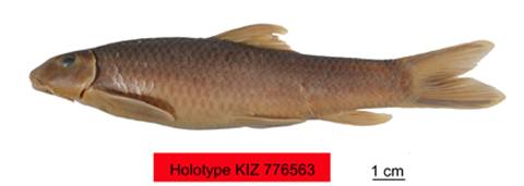 电子游戏app下载安装