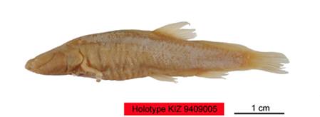 电子游戏app下载安装