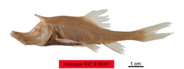 电子游戏app下载安装