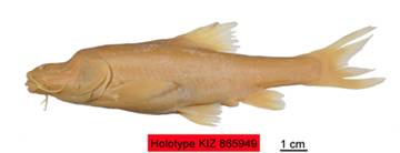 电子游戏app下载安装