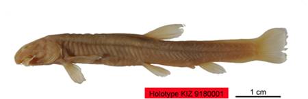 电子游戏app下载安装