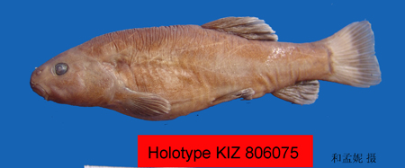 电子游戏app下载安装