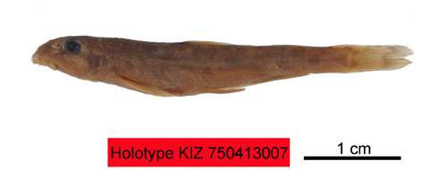 电子游戏app下载安装