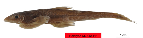 电子游戏app下载安装