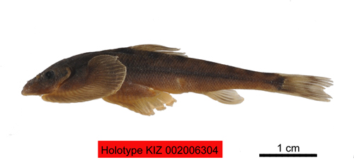 电子游戏app下载安装