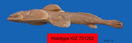 电子游戏app下载安装