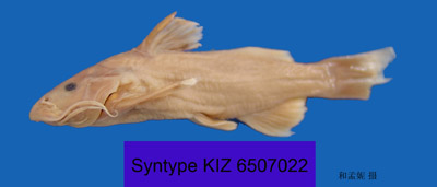 电子游戏app下载安装