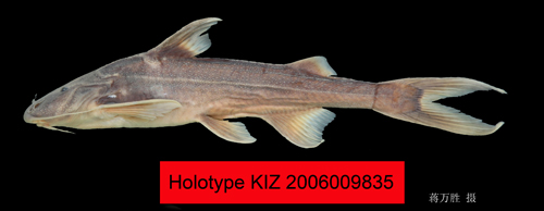 电子游戏app下载安装