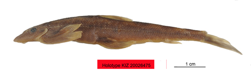 电子游戏app下载安装