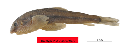 电子游戏app下载安装