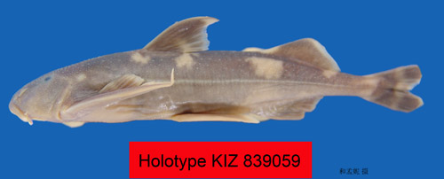 电子游戏app下载安装