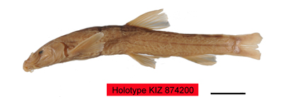 电子游戏app下载安装