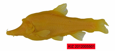 电子游戏app下载安装