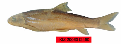 电子游戏app下载安装