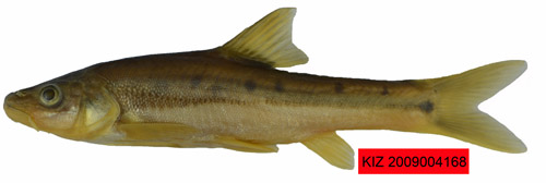 电子游戏app下载安装