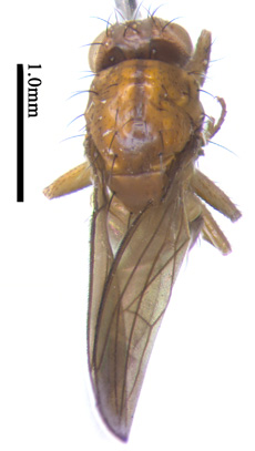 电子游戏app下载安装