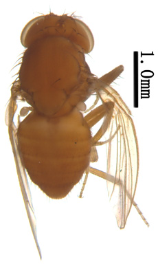 电子游戏app下载安装