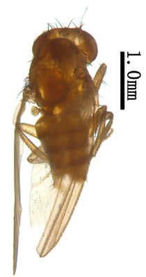 电子游戏app下载安装